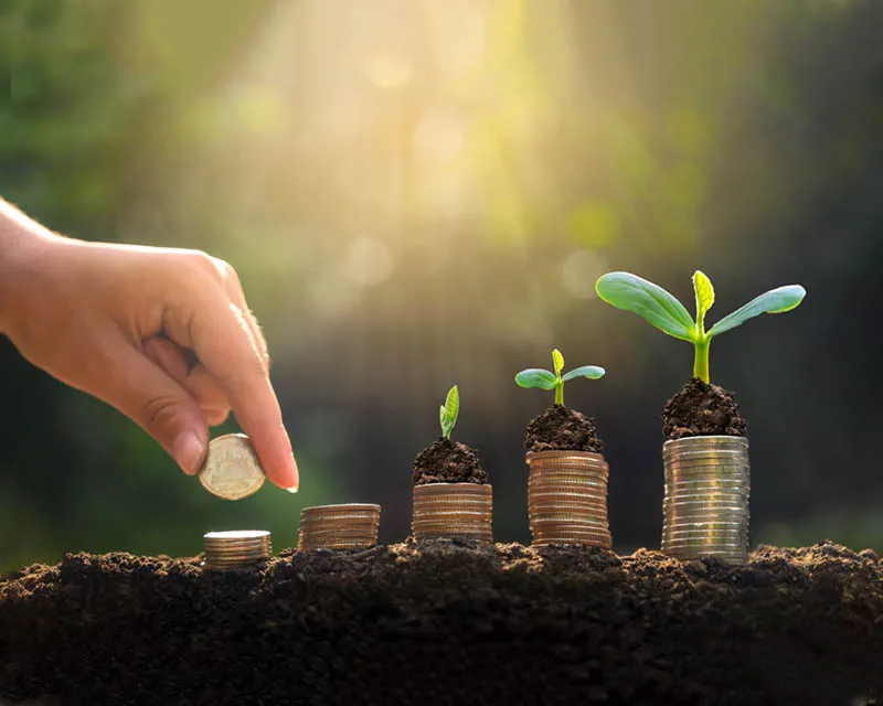 Putra Saudagar Solutions - Berimpact